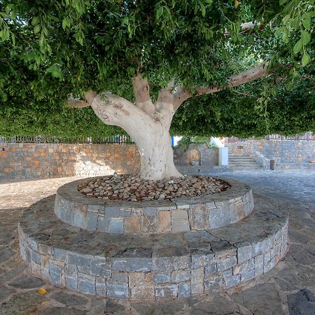 Creta Maris Resort Hersonissos  Esterno foto The tree of Hippocrates