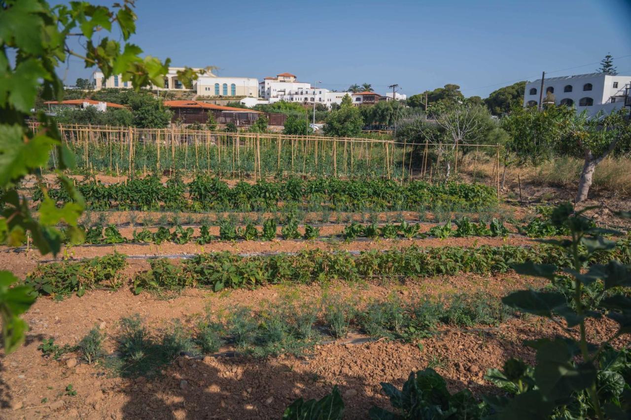 Creta Maris Resort Hersonissos  Esterno foto A vegetable garden in Mallorca, Spain