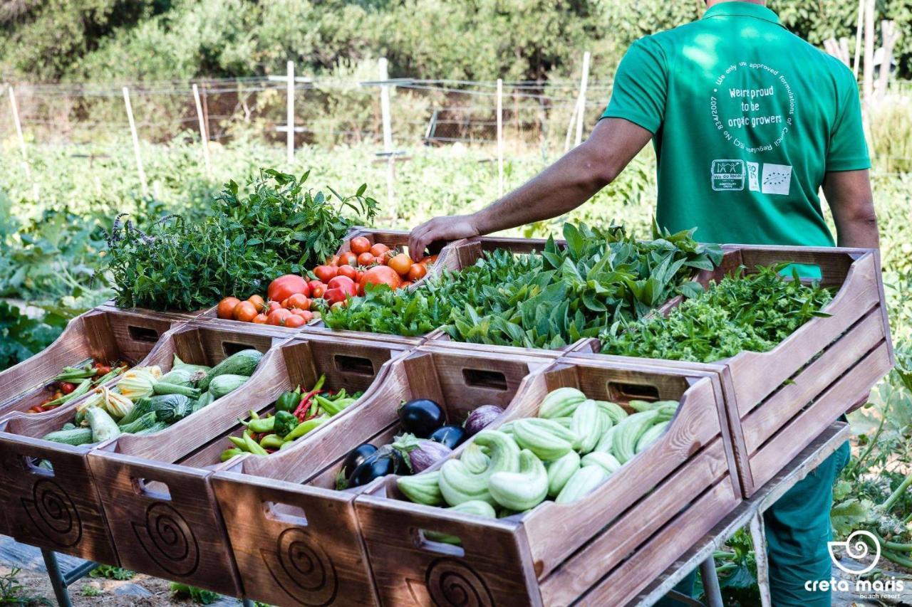 Creta Maris Resort Hersonissos  Esterno foto Crops at the farm