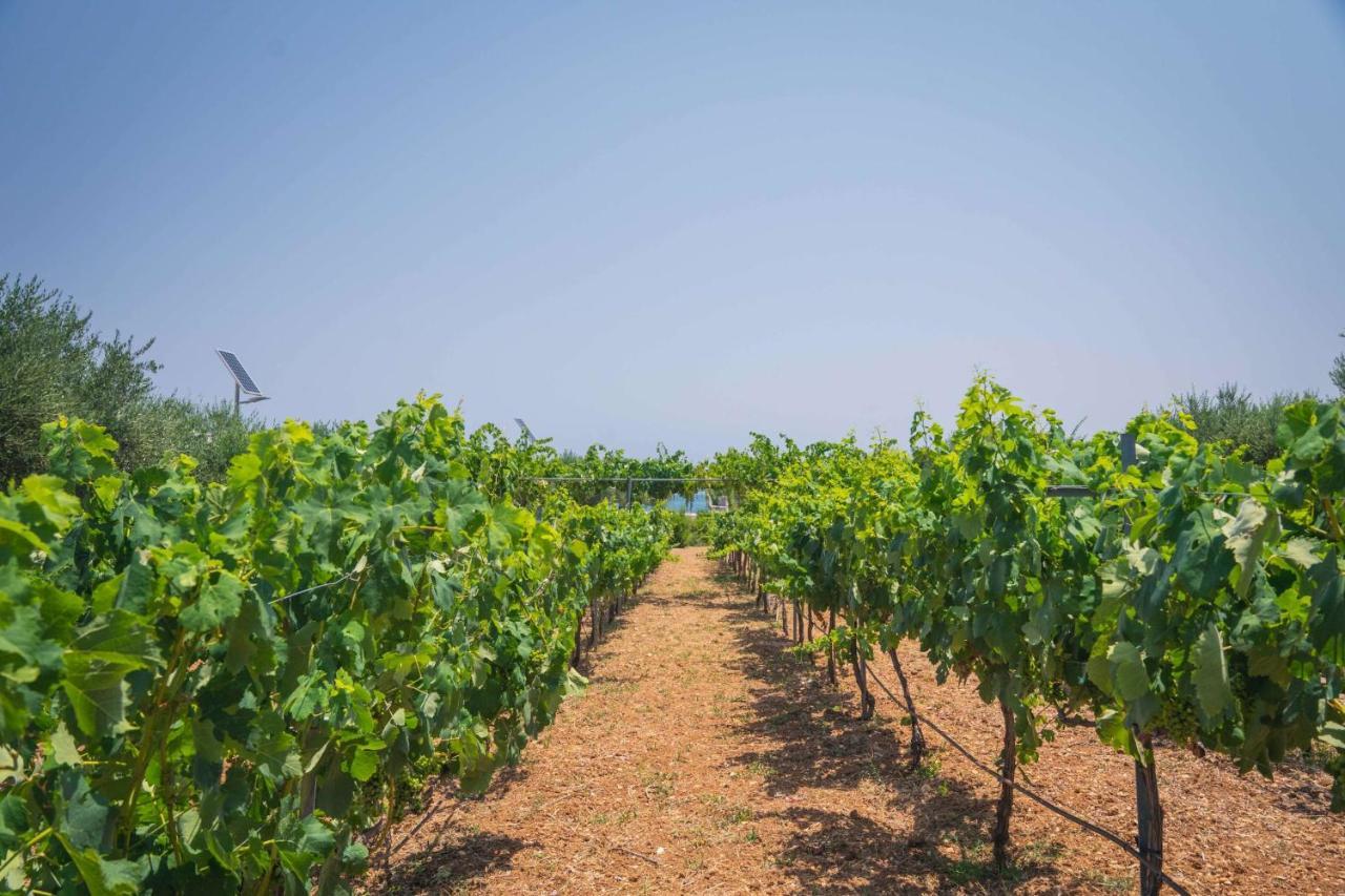 Creta Maris Resort Hersonissos  Esterno foto Vineyard in the Penedès region